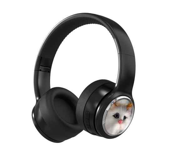 https://www.wellypaudio.com/custom-wireless-headphones/